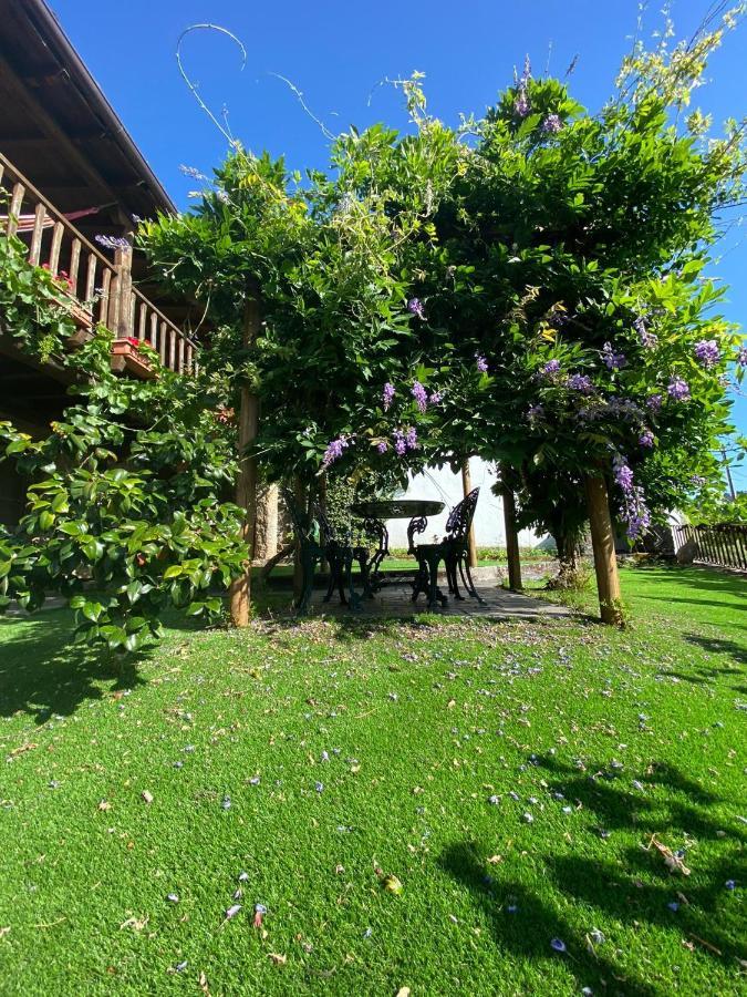 Casa Do Pomar Guest House บรากันซา ภายนอก รูปภาพ